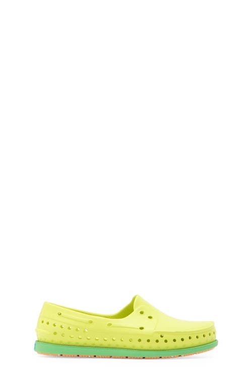 Native Shoes Kids' Howard Sugarlite Slip-on Sneaker In Celgr/cangr/papspckrb