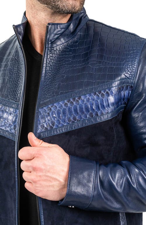 Maceoo Pythonshield Blue Snakeskin Embossed Leather Jacket In Blue