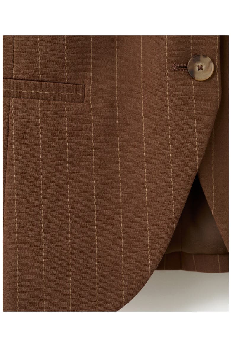 Pinstripe Vest, Alternate, color, CARAMEL