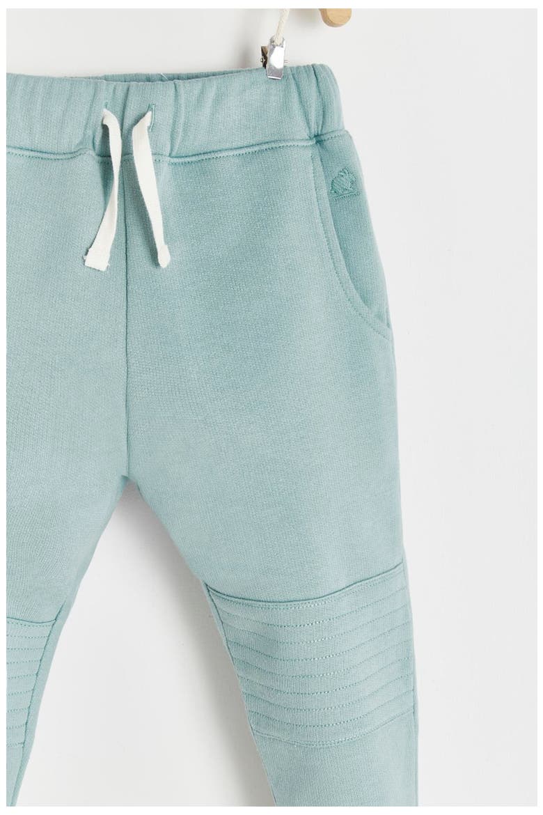 Premium Cotton Merlin Jogger For Infant, Alternate, color, Green