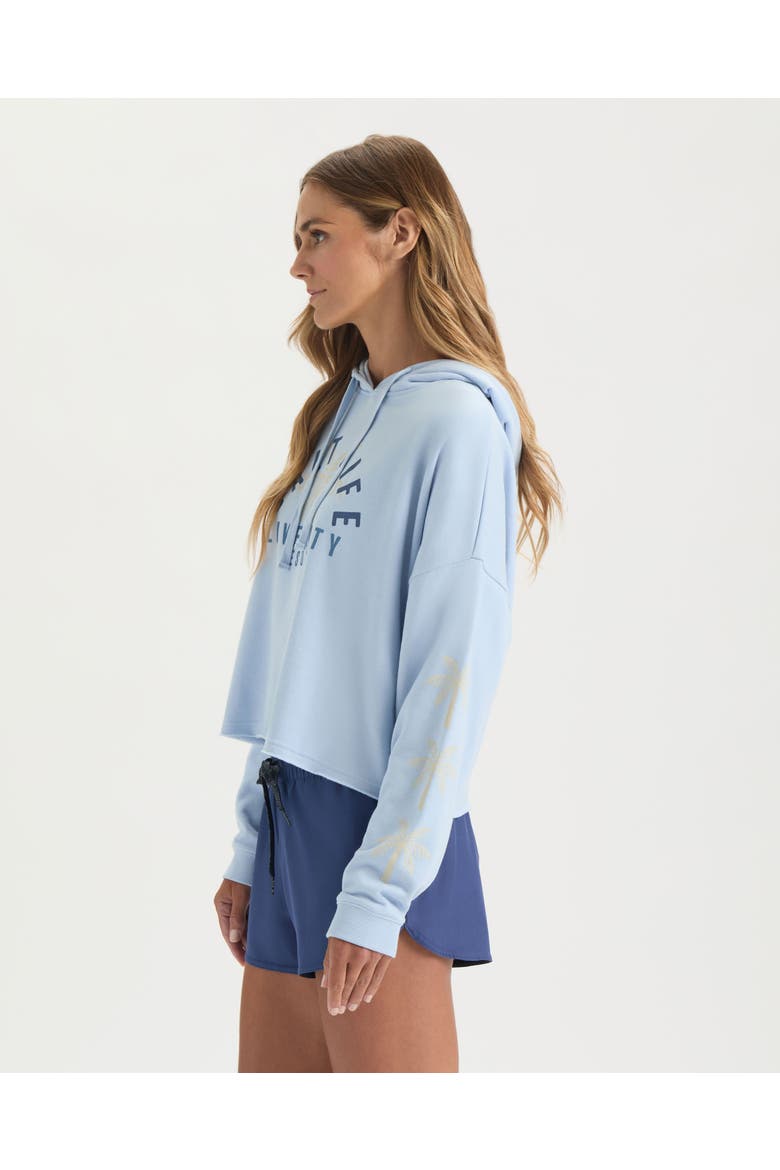 Checked Out Hoodie, Alternate, color, Powder Blue