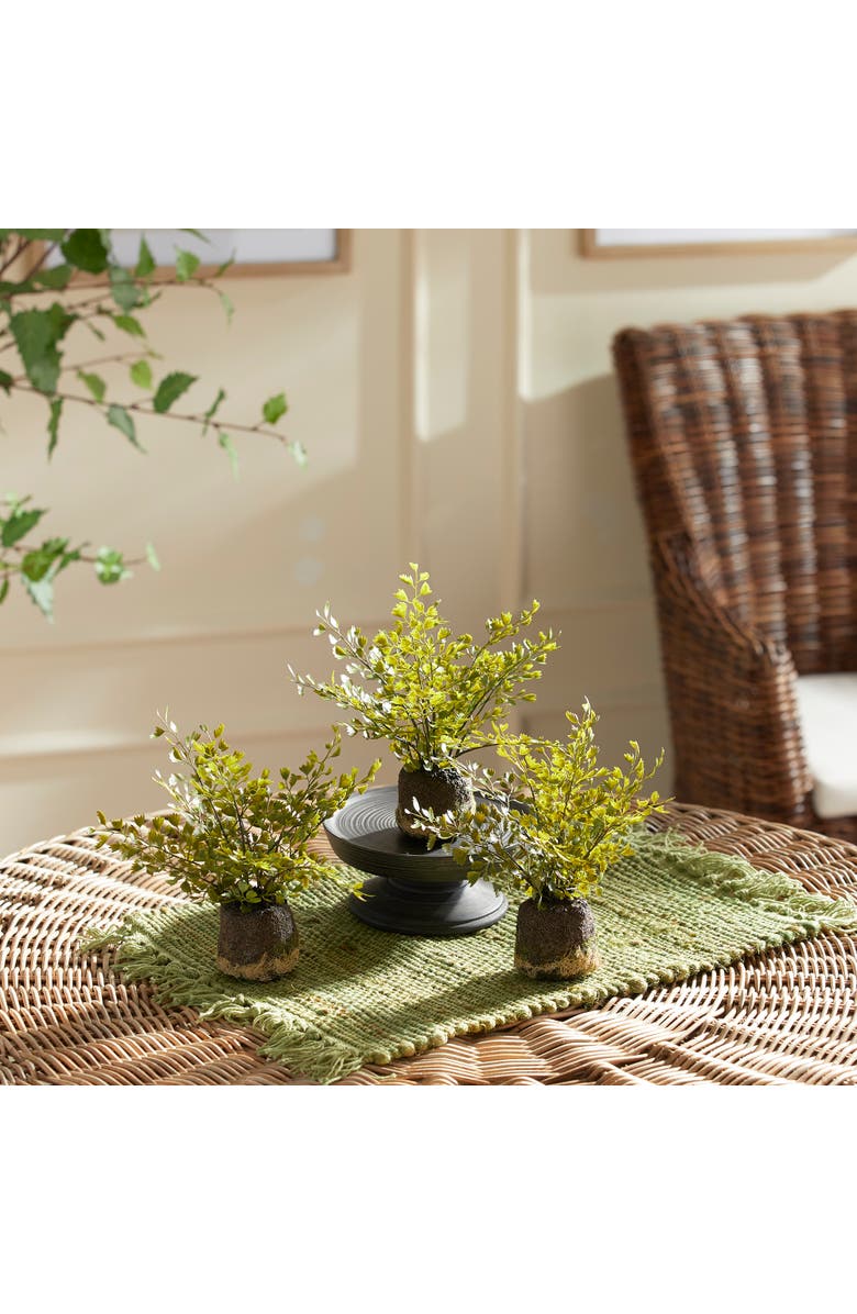 Napa Home & Garden Maidenhair Drop-Ins Set of 3, Alternate, color, Green