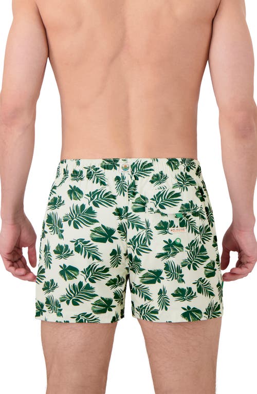 Sunset X Vine Leaf Print Swim Trunks