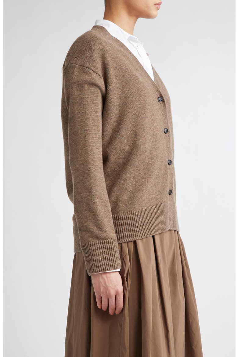 Cedro Relaxed Merino Wool & Cashmere Cardigan, Alternate, color, HAZELNUT BROWN