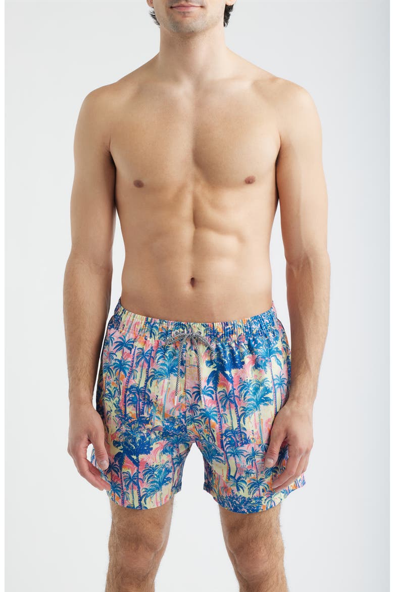 Havana Print Swim Trunks, Main, color, MULTI