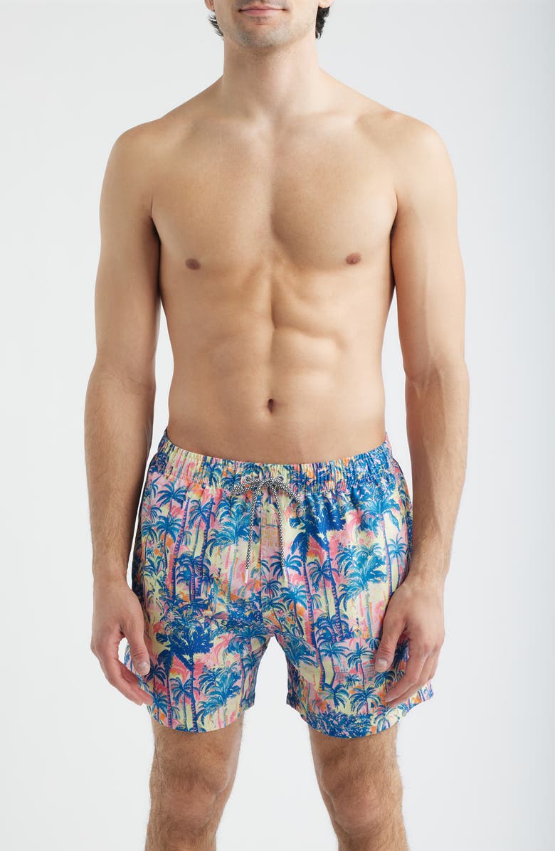 Boardies Havana Print Swim Trunks, Main, color, Multi