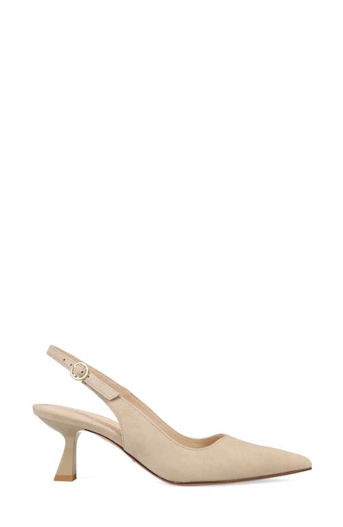 Pelle Moda Janah Slingback Pointed Toe Pump In Mushroom Suede
