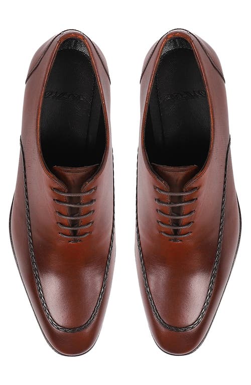 Vellapais Frisco Braided Oxford In Cognac