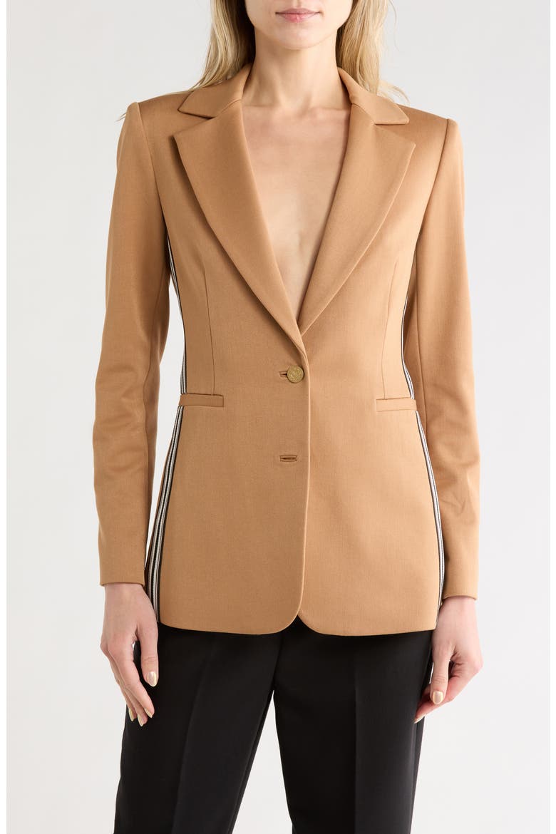 Breann Stripe Long Fitted Blazer, Main, color, TAN