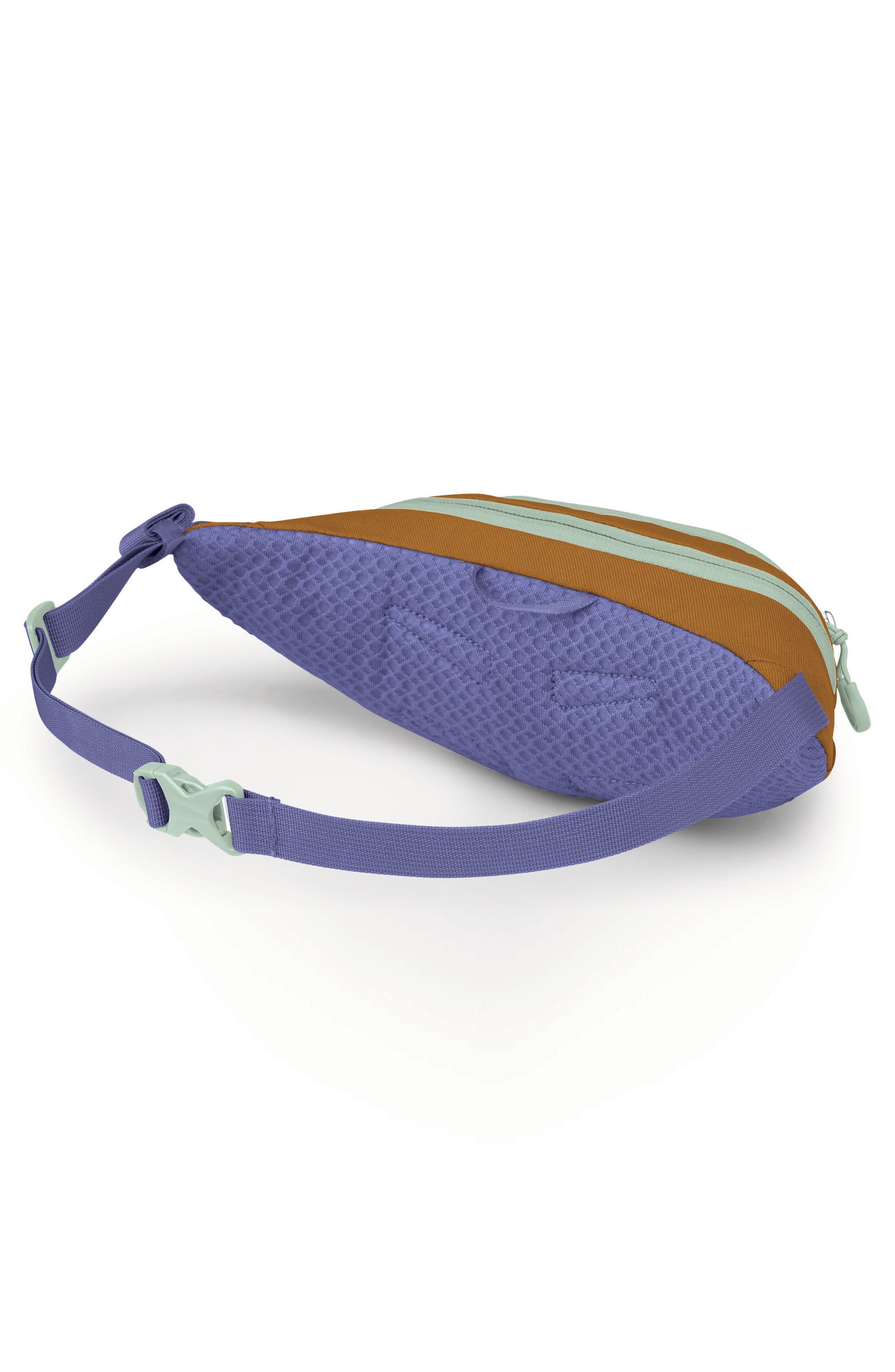 Mini Daylite Water Repellent Belt Bag, Alternate, color, BARLEY BROWN MULTI
