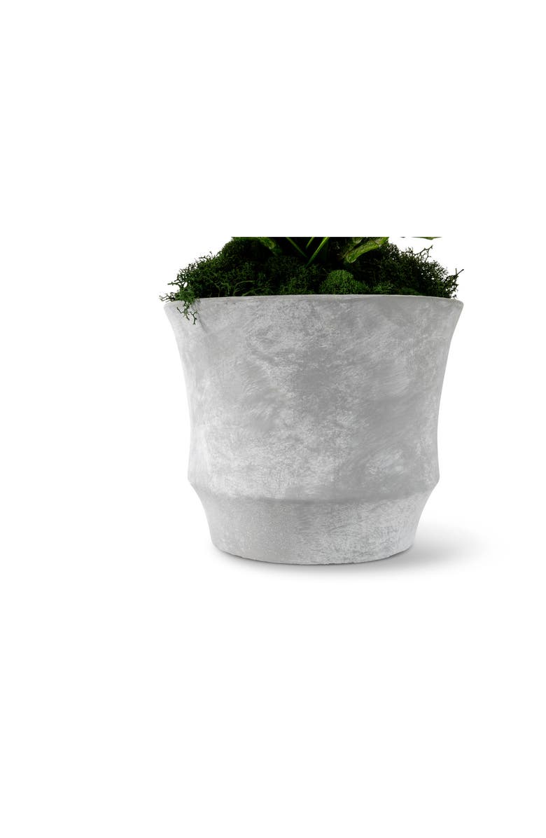 CocoBella Clementine RealTouch Orchid Arrangement, Alternate, color, Periwinkle