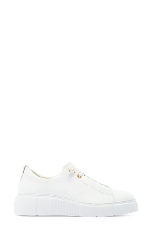 Paul Green Abbey Sneaker In White Leather