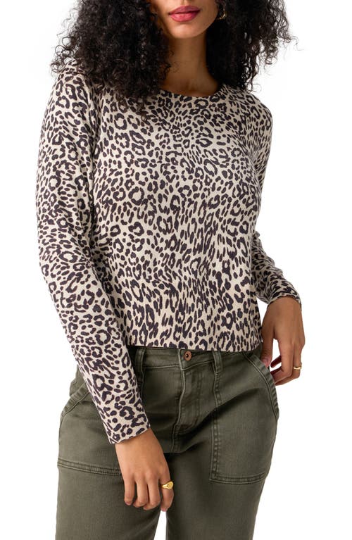 Sanctuary All Day Long Sweater In Gentle Spo