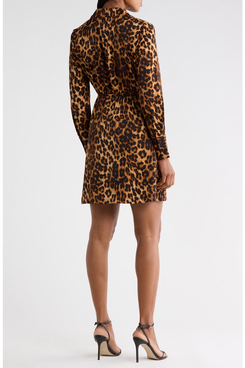 Aero Leopard Print Shirtdress, Alternate, color, LEOPARD