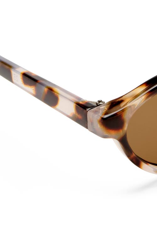 Aire Earthshine 54mm Oval Sunglasses In Brown