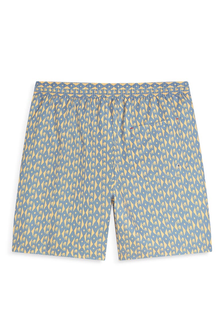 Geo Print Midlength Swim Trunks, Alternate, color, CACTUS STRIPE INFINITY