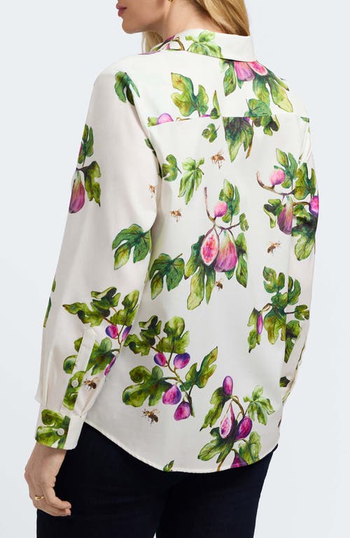 Foxcroft Hampton Figs Print Stretch Cotton Button-up Shirt In Multi