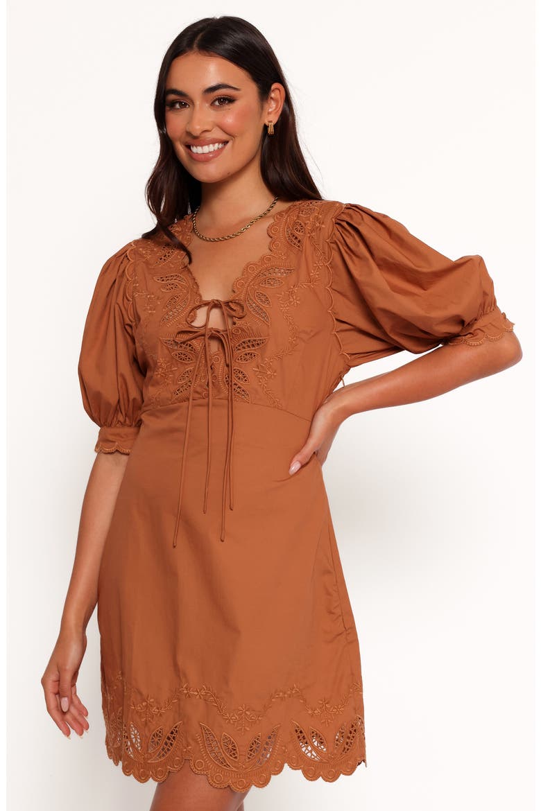 Rhodes Embroidered Puff Sleeve Minidress, Alternate, color, BROWN