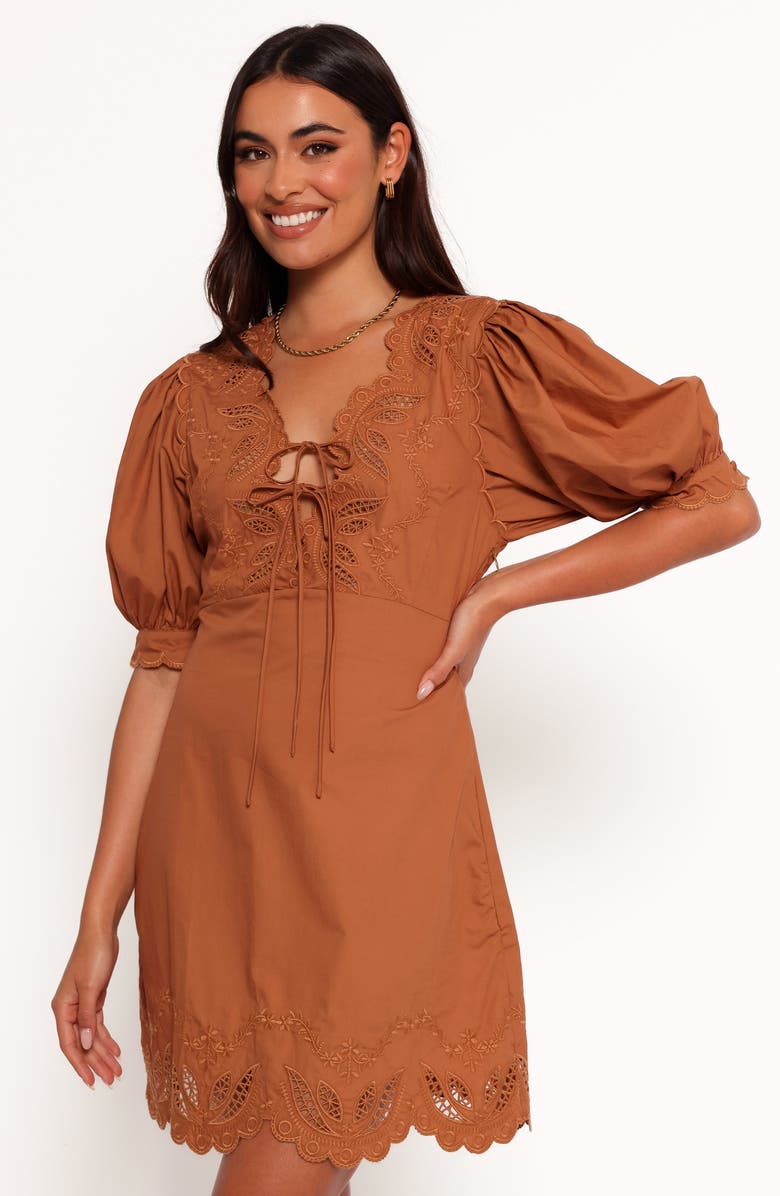 Petal & Pup Rhodes Embroidered Puff Sleeve Minidress, Alternate, color, Brown