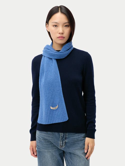 Gobi Mongolian Cashmere Cashmere Rib Knit Scarf In Blue