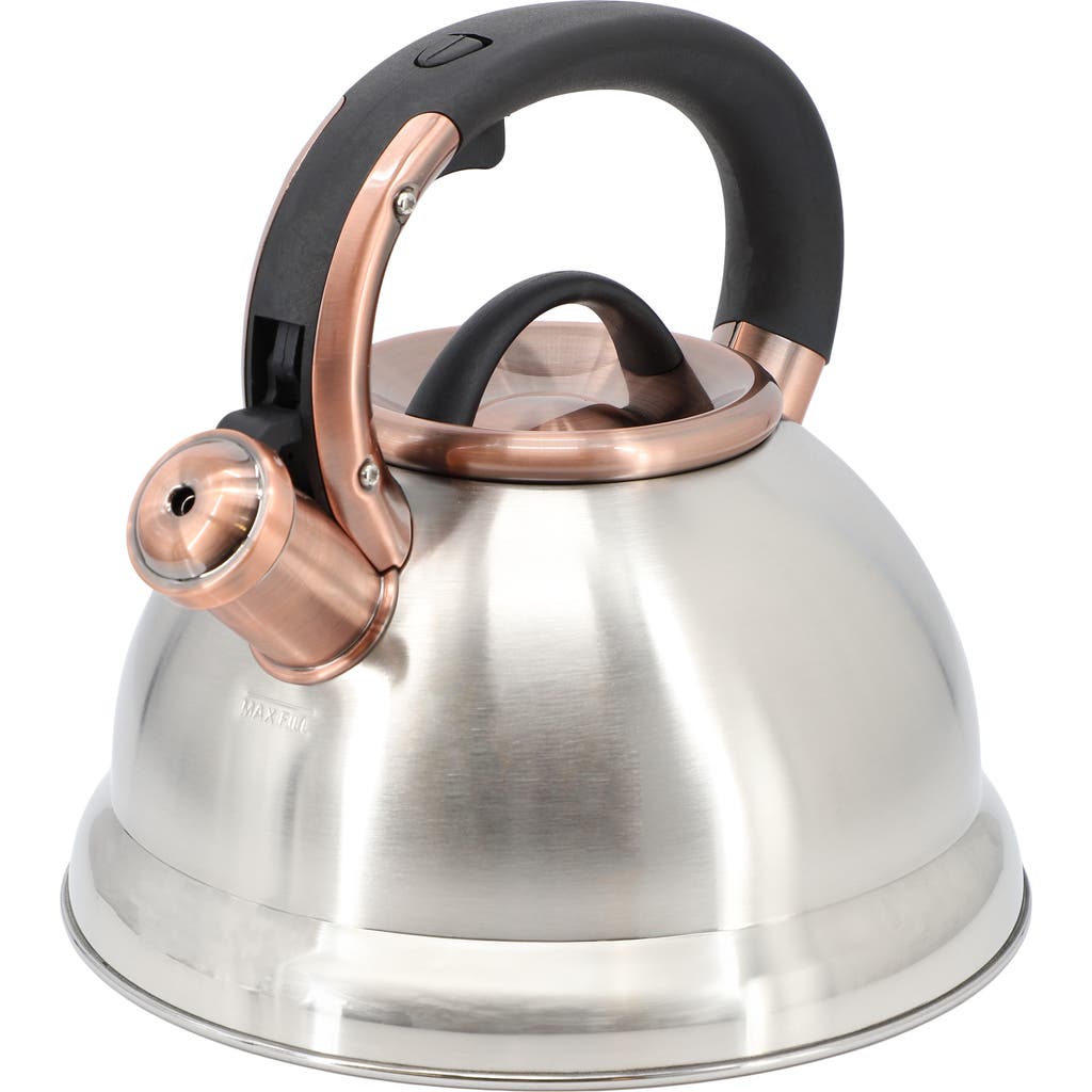 Mr Coffee Mr. Coffee Flintshire 2.2 Quart Stainless Steel Whistling Tea Kettle In Silver