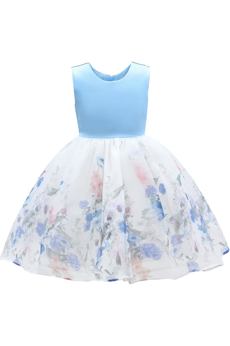 Mabel Floral Garden Organza Dress, Main, color, Blue