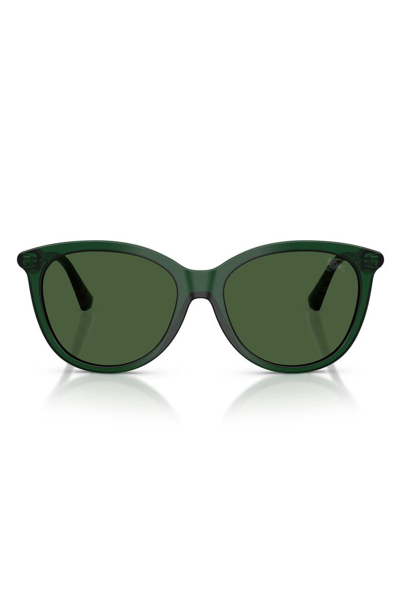 Burberry 55mm Phantos Sunglasses, Main, color, Green
