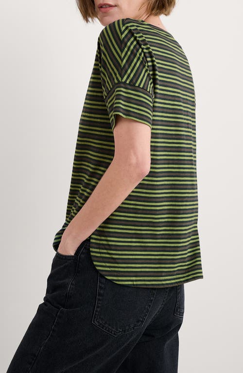 Seasalt Cornwall Bryher View Organic Cotton T-shirt In Green