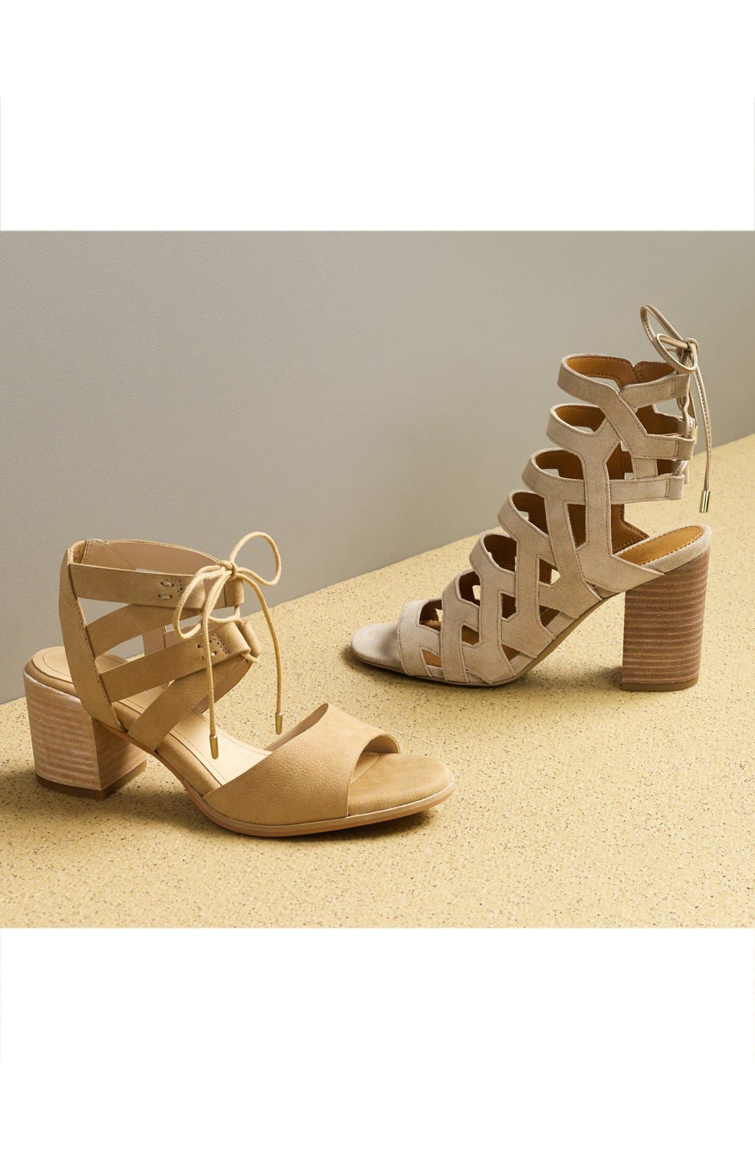 SARTO by Franco Sarto Connie Block Heel Cage Sandal, Alternate, color, 