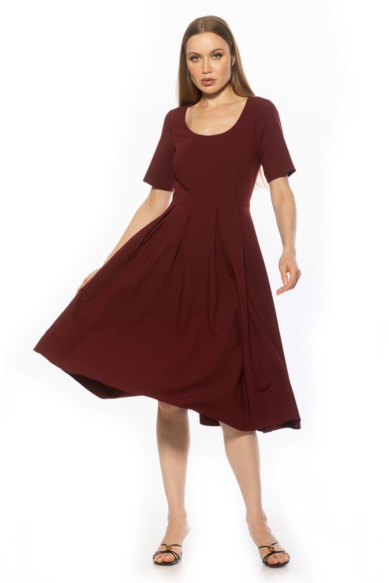 Imani Pleated Short Sleeve Dress, Alternate, color, BURGUNDY
