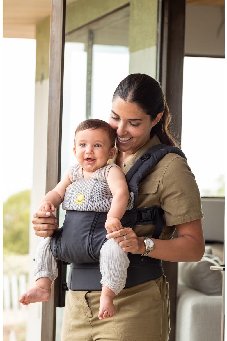 Complete All Seasons Baby Carrier, Alternate, color, CHARCOAL / SILVER