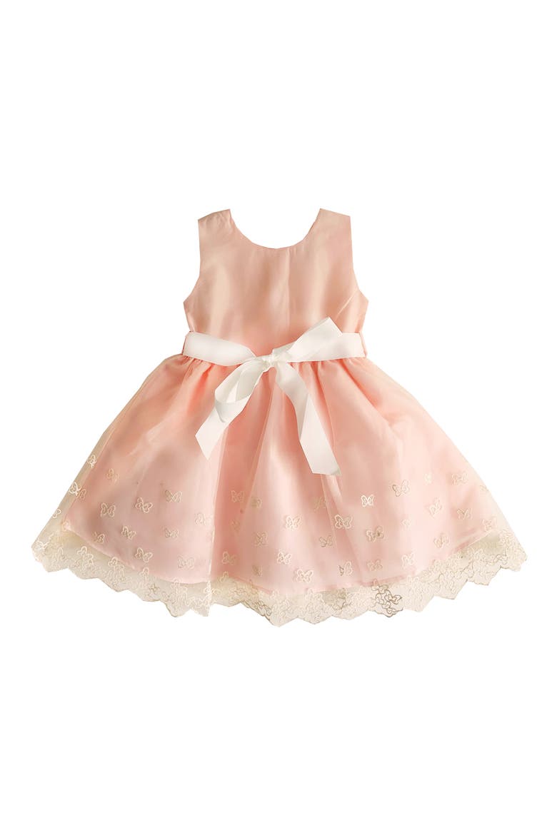 Kids' Embroidered Butterfly Dress, Main, color, LIGHT/ PASTEL PINK