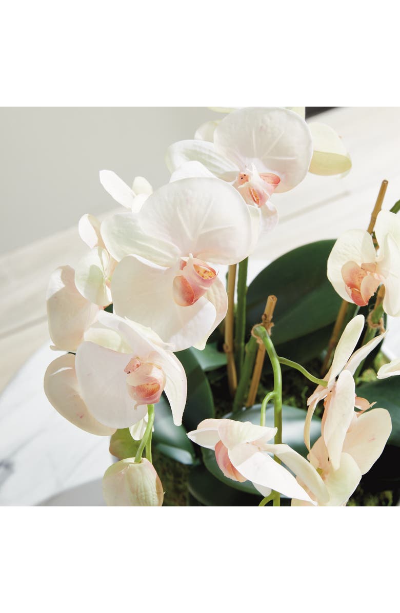 Napa Home & Garden Phalaenopsis Orchid Bowl Artificial Plant Drop-In, Alternate, color, Pink