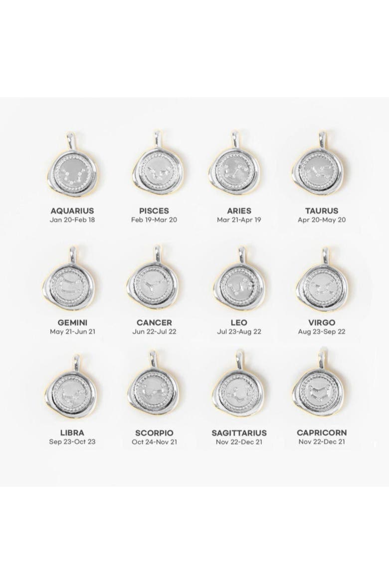 14k Gold Plated Seal Constellation Necklace 12 Zodiac Signs Gift Guide, Alternate, color, Silver - Cancer