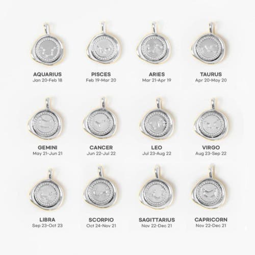 Bearfruit Jewelry 14k Gold Plated Seal Constellation Necklace 12 Zodiac Signs Holiday Gift Guide