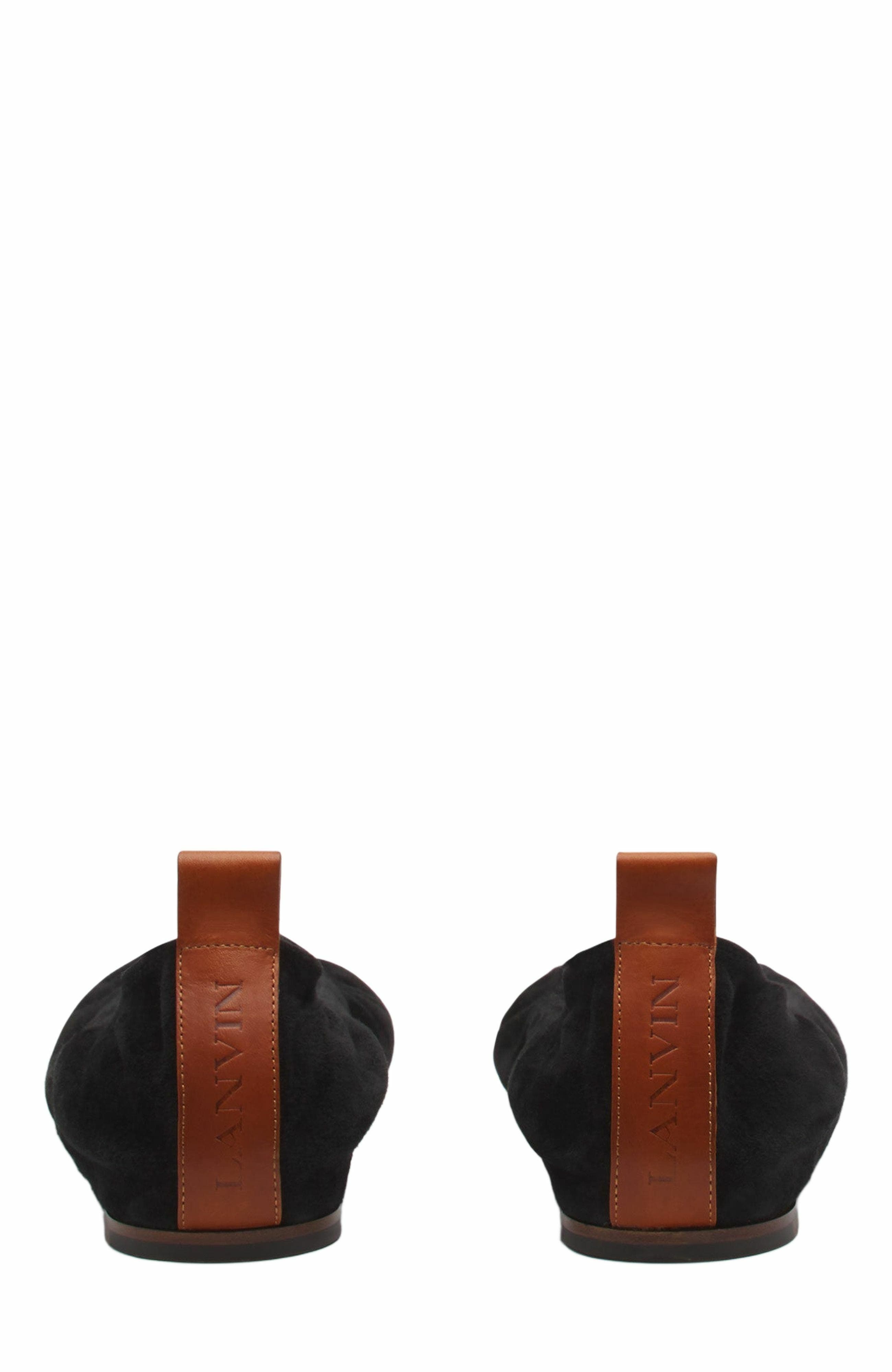 Lanvin The Suede Ballerina Flat, Alternate, color, 