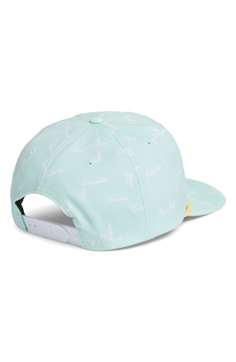 Swannies Larsen Baseball Cap, Alternate, color, 