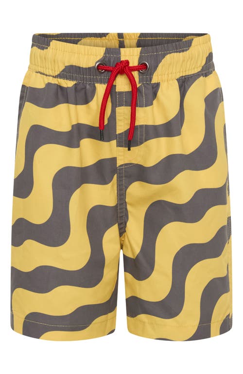 Tiny Tribe Kids' Waves Swim Trunks In Charcoal