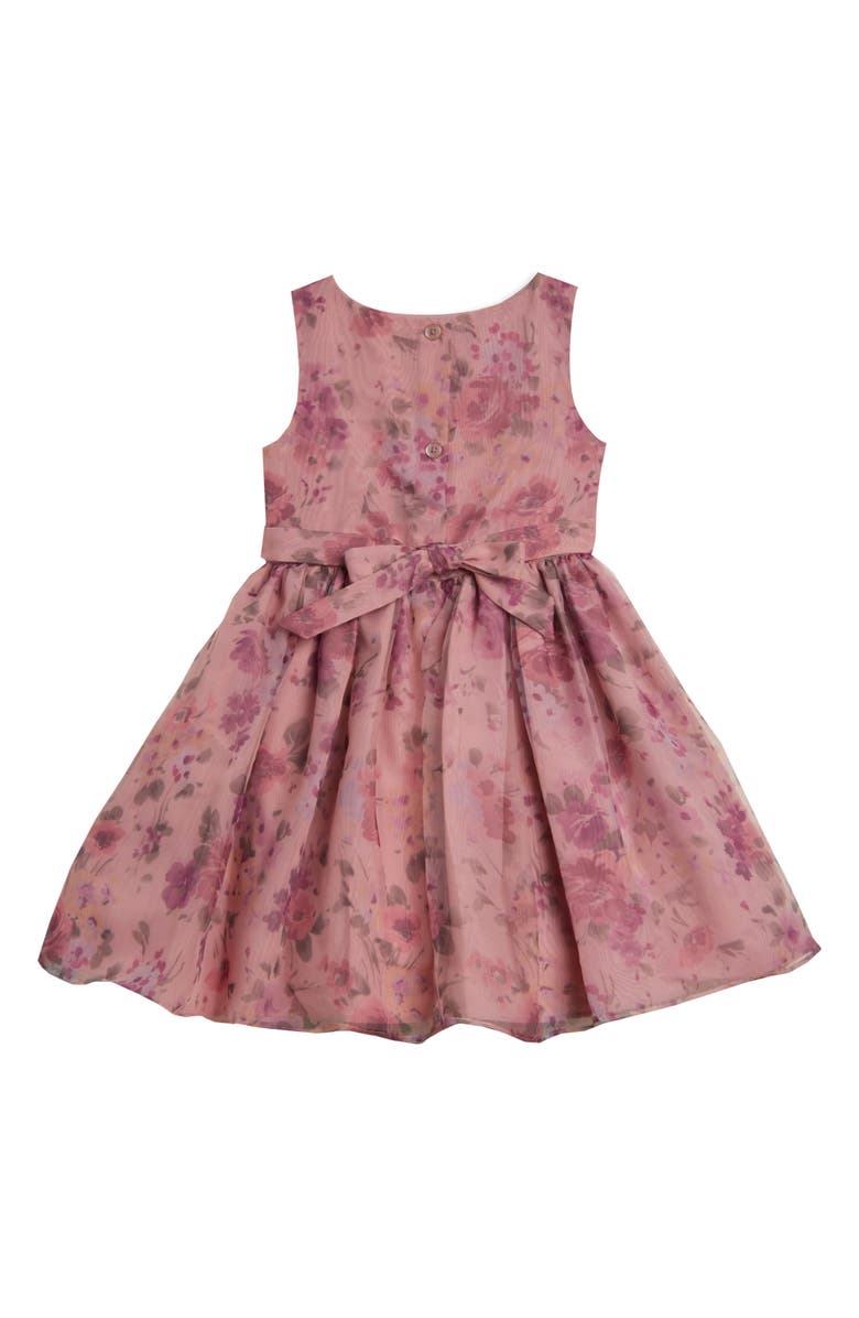 Pippa & Julie Floral Print Organza Dress, Alternate, color, 