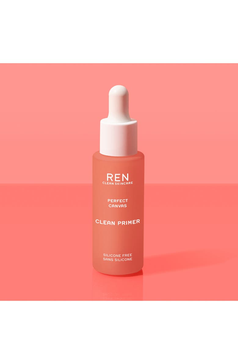 REN Clean Skincare Perfect Canvas Clean Primer, Alternate, color, 