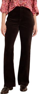 NIC+ZOE Berkeley Stretch Velvet Bootcut Pants