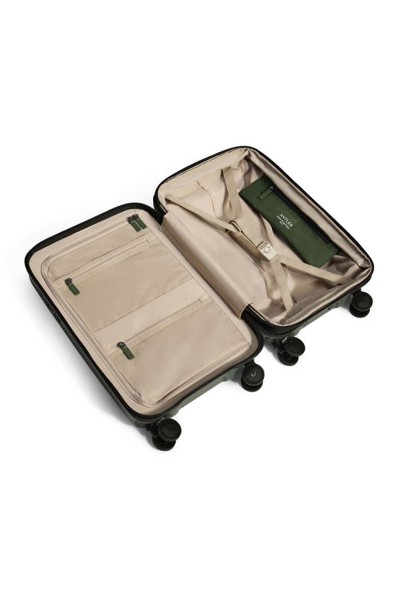 Icon Stripe Carry-On, Alternate, color, Antler Green