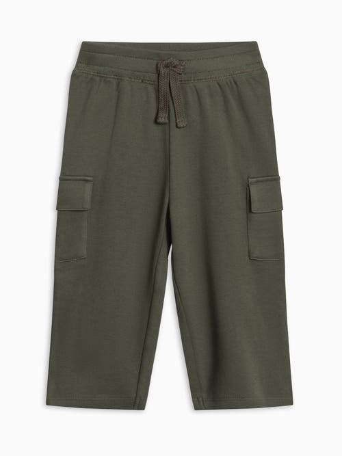 Colored Organics Organic Cotton Will Cargo Pants In Green