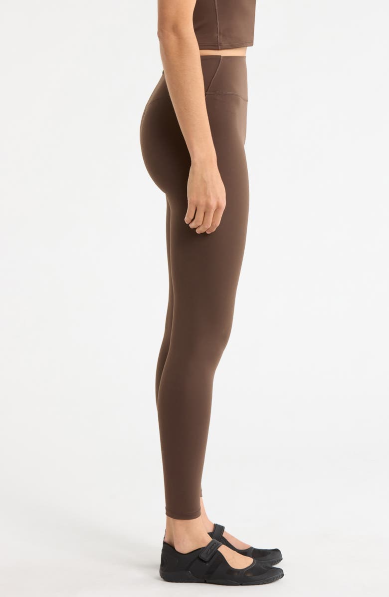 NikeSKIMS Matte Leggings, Alternate, color, Nskm Dark Sepia