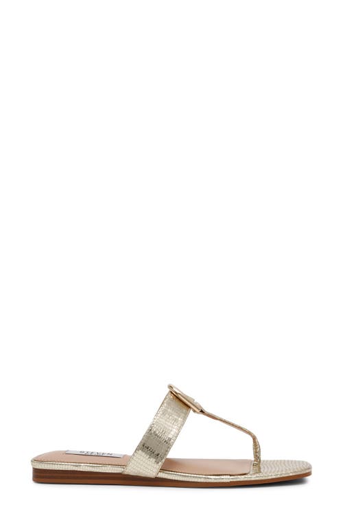 STEVEN NEW YORK STEVEN NEW YORK PAVA SANDAL