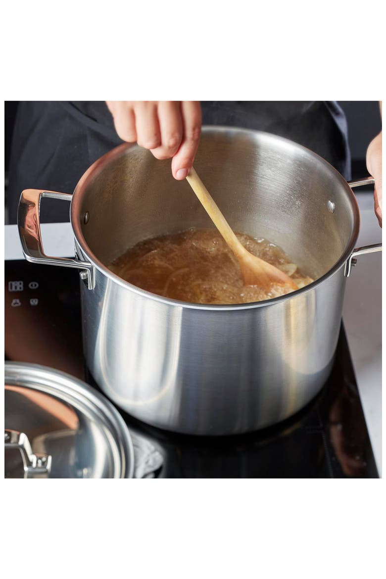 Essential 5-Ply 8-Quart Stainless Steel Stockpot & Lid, Alternate, color, STAINLESS STEEL