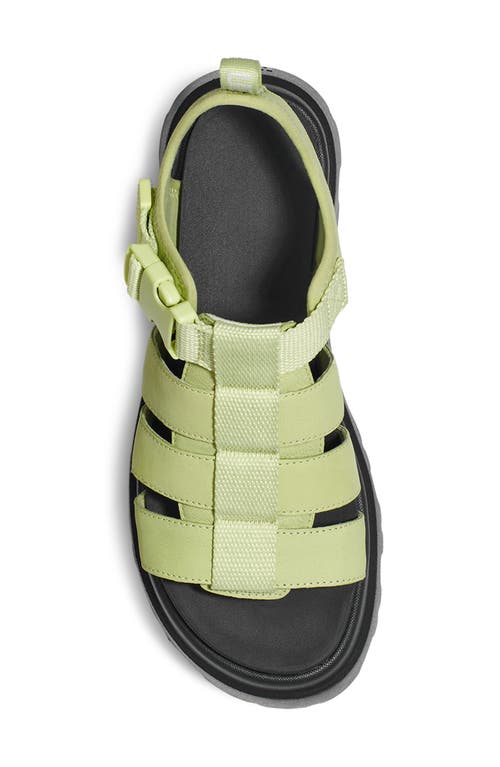 Ugg Cora Platform Sandal In Caterpillar