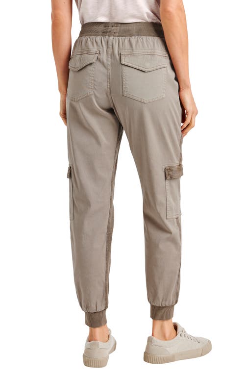 Splendid Jaclyn Drawstring Waist Joggers In Brown
