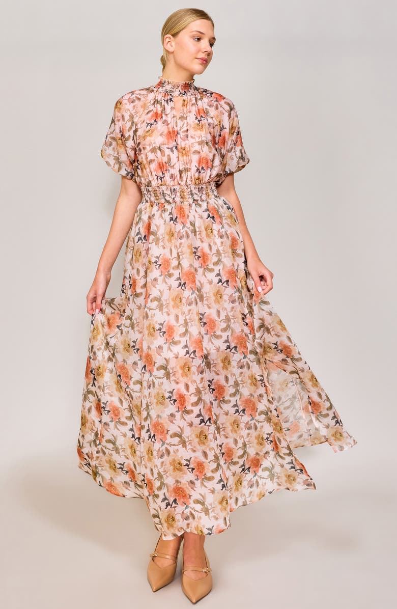 MELLODAY Floral Organza Maxi Dress, Alternate, color, Ivory/ Orange Floral