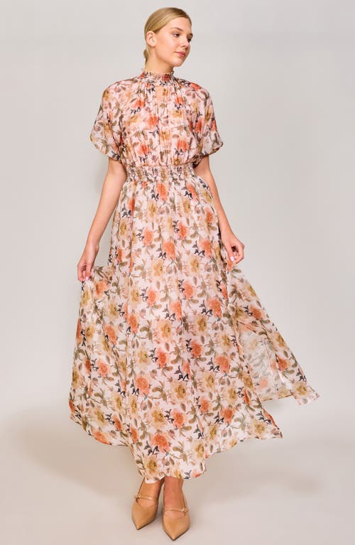 Melloday Floral Organza Maxi Dress In Ivory/orange Floral